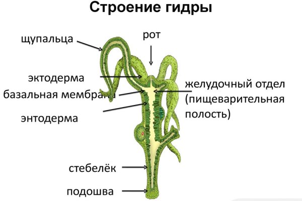 Кракен тор kraken014 com