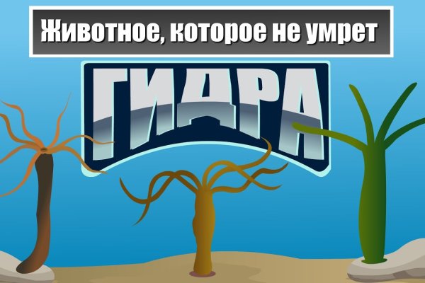 Кракен маркетплейс ссылка на сайт