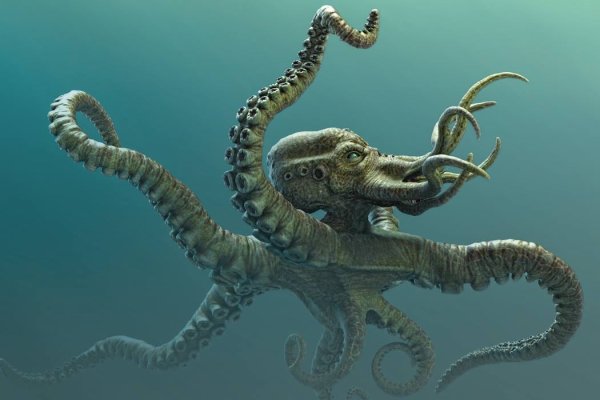 Как вывести деньги с kraken