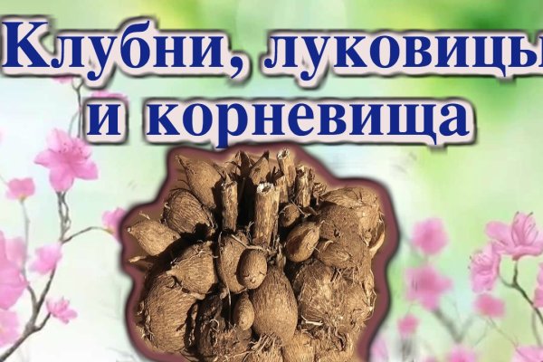 Что продают на кракене