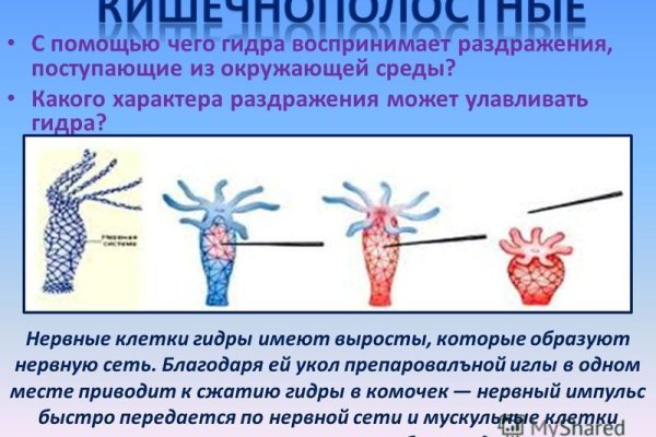 Кракен сайт официальный ссылка kraken clear com