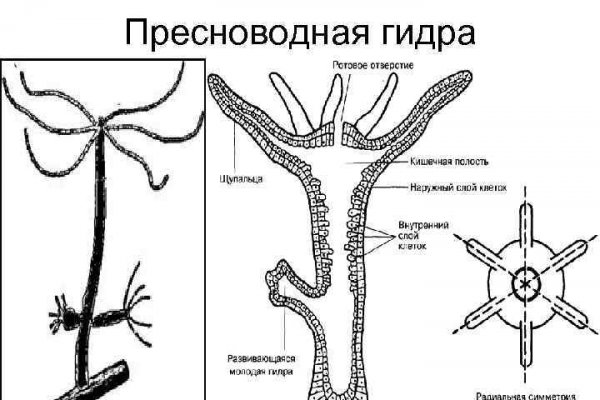 Забыл пароль кракен